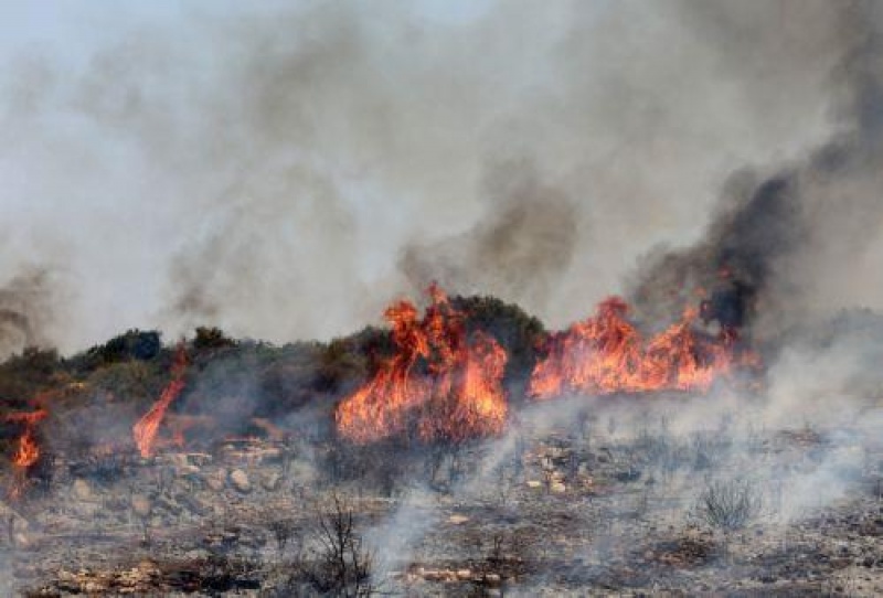 Παραμένει στην περιοχή το Τμήμα Δασών για τυχόν αναζωοπυρώσεις
