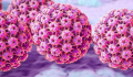 Ο εμβολιασμός κατά του HPV μειώνει τα περιστατικά καρκίνου αλλά όχι ισομερώς παντού...