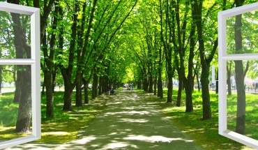 Η διαβίωση σε περιοχές με πράσινο μειώνει τις πιθανότητες εμφάνισης μεταβολικού συνδρόμου