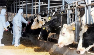 Απαιτούν μέτρα πρόληψης για αφθώδη πυρετό οι τυροκόμοι