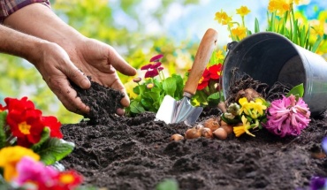 Mαθησιακές δυσκολίες: Βελτίωση μέσω της κηπουρικής
