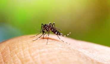 Ζητούν εφαρμογή μέτρων για προστασία από τα κουνούπια