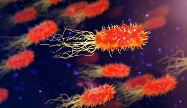 «Πόλεμος» για τα μικρόβια στα νοσηλευτήρια