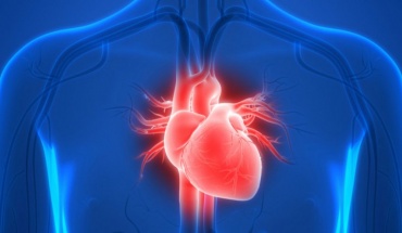 Πανευρωπαϊκό Συνέδριο Καρδιολογίας: Τι αλλάζει στη διαχείριση των καρδιαγγειακών