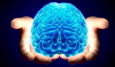 Πώς σχετίζεται η διαίσθηση με τον εγκέφαλο