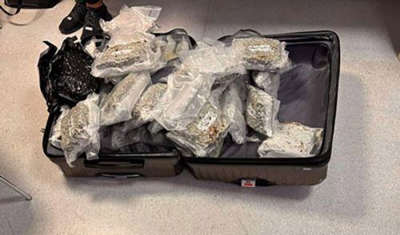 &Kappa;&alpha;&tau;&alpha;&sigma;&chi;έ&sigma;&epsilon;&iota;&sigmaf; &mu;&epsilon;&gamma;ά&lambda;&omega;&nu; &pi;&omicron;&sigma;&omicron;&tau;ή&tau;&omega;&nu; &kappa;&alpha;&pi;&nu;&iota;&kappa;ώ&nu; &pi;&rho;&omicron;ϊό&nu;&tau;&omega;&nu;