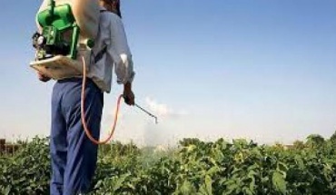 Κυριαρχούν τα μυκητοκτόνα στις πωλήσεις φυτοφαρμάκων στην Κύπρο