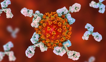 Εξασφαλίζει η μόλυνση από τον SARS-CoV-2 αποτελεσματικά αντισώματα;