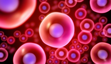 Eμφύτευμα βλαστοκυττάρων ανοίγει το δρόμο για τη θεραπεία του διαβήτη τύπου 1
