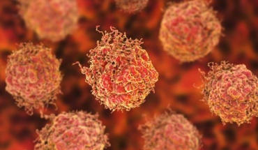 Γιατί πεθαίνουν οι νευρώνες στην άνοια; Μπορεί αυτή η διαδικασία να επιβραδυνθεί;