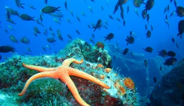 Oι ωκεανοί απορροφούν 90% της θερμότητας από ανθρωπογενείς δραστηριότητες