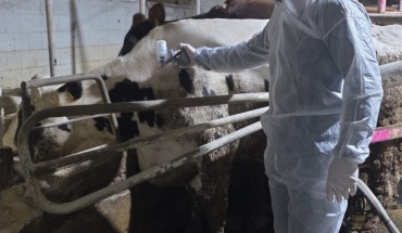 Στο τραπέζι ο καθολικός εμβολιασμός για τον αφθώδη πυρετό