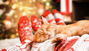 Υγεία στο σώμα και την ψυχή κατά την εορταστική περίοδο: Τι να κάνουμε