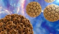 Ο ρόλος του εμβολιασμού στον HPV