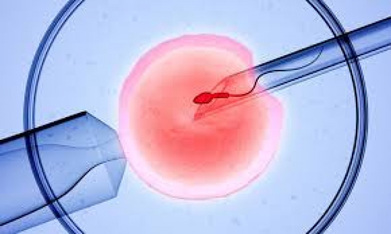 Φτάσαμε στην επιλογή εμβρύων με βάση τα χαρακτηριστικά τους;