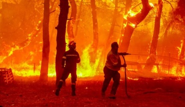 Δεκαοκτώ σοροί εντοπίστηκαν στο δάσος της Δαδιάς