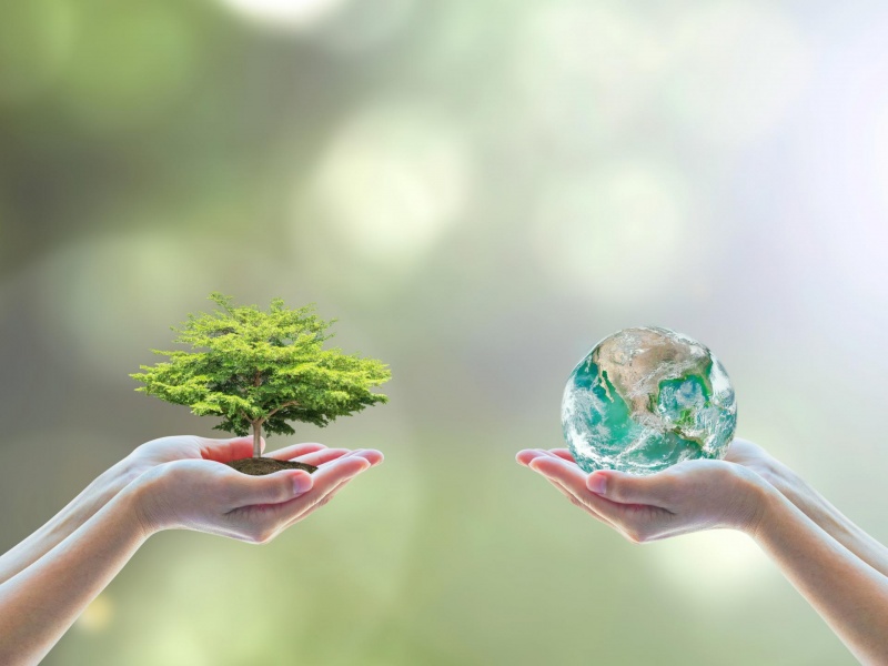 Ολοκληρώθηκε έργο με στόχο τη διακοινοτική συνεργασία και κοινή περιβαλλοντική συνείδηση