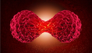 Απρίλιος: Μήνας ευαισθητοποίησης για τον καρκίνο του όρχεος