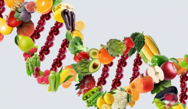 Μαθαίνουμε τα πάντα για τις δίαιτες DNA
