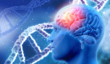 Πώς πεθαίνουν τα κύτταρα του εγκεφάλου από Αλτσχάιμερ