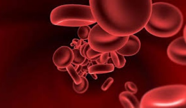 Πραγματοποιήθηκε το 1ο Νοσηλευτικό Εργαστήριο της ΔΟΘ για Αιμοσφαιρινοπάθειες στην Αθήνα