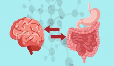 Πώς το έντερο μπορεί να επηρεάσει τη διάθεσή μας;