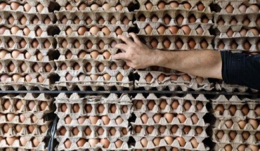 Αύξηση 92% στους νεοσσούς αυγοπαραγωγής τον Μάιο