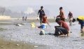 Η επισιτιστική ασφάλεια σε κίνδυνο από απώλεια βιοποικιλότητας