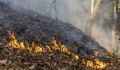 Καναδάς: Χιλιάδες απομακρύνονται από τα σπίτια τους εξαιτίας πυρκαγιών