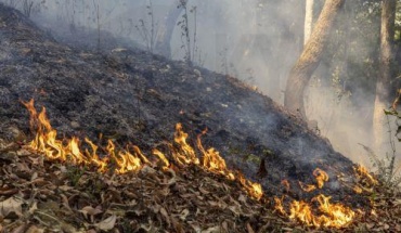 Καναδάς: Χιλιάδες απομακρύνονται από τα σπίτια τους εξαιτίας πυρκαγιών