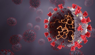Ποιοι έχουν υπερ-ανοσία στον ιό SARS-CoV-2