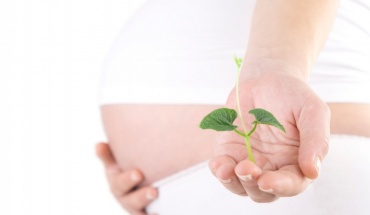 Η γονιμότητα έχει να κάνει και με τις διατροφικές συνήθειες