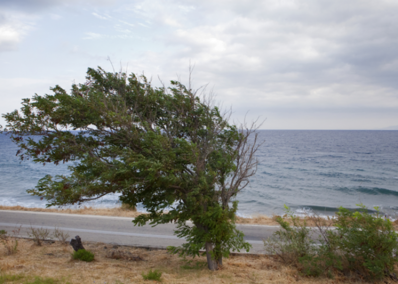 &Pi;&rho;&omicron;&epsilon;&iota;&delta;&omicron;&pi;&omicron;&iota;&epsilon;ί &gamma;&iota;&alpha; &sigma;&phi;&omicron;&delta;&rho;&omicron;ύ&sigmaf; &alpha;&nu;έ&mu;&omicron;&upsilon;&sigmaf; &sigma;&tau;&alpha; &pi;&alpha;&rho;ά&lambda;&iota;&alpha; &tau;&omicron; &Tau;&mu;. &Mu;&epsilon;&tau;&epsilon;&omega;&rho;&omicron;&lambda;&omicron;&gamma;ί&alpha;&sigmaf;