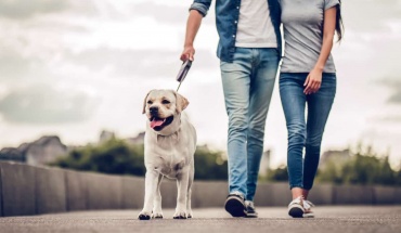 Άνοιξη και διακοπές του Πάσχα προσφέρονται για την πιο ευχάριστη άσκηση: Το περπάτημα