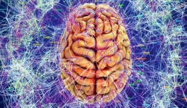 Αντιμετώπιση ψυχικά πασχόντων με "ψυχεδελικές" θεραπείες