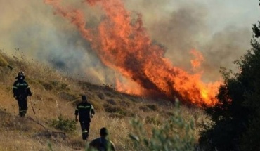 Κάηκαν τέσσερα δεκάρια ξηρών χόρτων από την πυρκαγιά στη Σκαρίνου