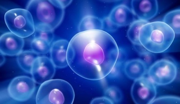 Νόμπελ Ιατρικής για το ρόλο του οξυγόνου στα κύτταρα