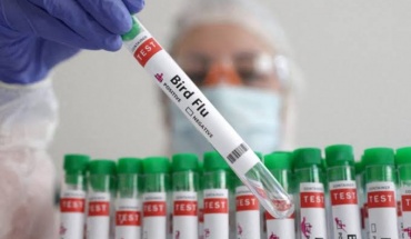 H γρίπη των πτηνών έκανε την εμφάνισή της και στην Αυστραλία