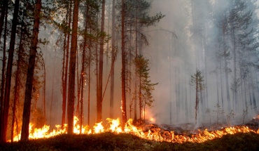 Απολογισμός σχεδίου δράσης για τις καταστροφικές πυρκαγιές
