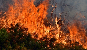 Από 7,5 μέχρι 10 τετραγωνικά χιλιόμετρα η καταστροφή