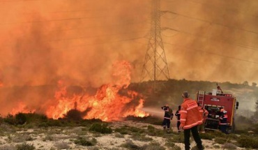Μισό δεκάριο γης με χαμηλή βλάστηση έκαψε πυρκαγιά σε περιοχή της Αναρίτας
