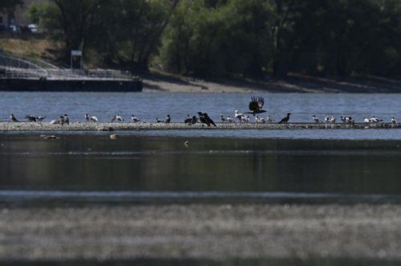 Η φωτορύπανση κάνει τα πουλιά να κελαηδούν μια ώρα περισσότερο
