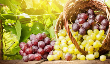Μπορούν τα σταφύλια να βοηθήσουν στην απώλεια βάρους;