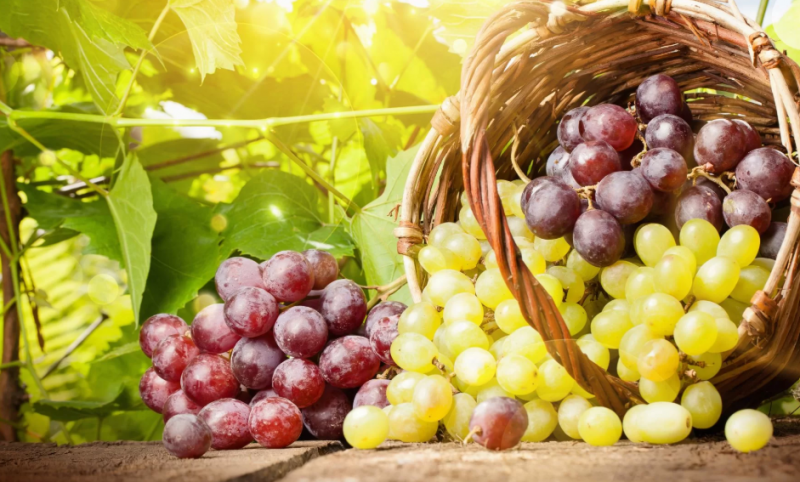 Μπορούν τα σταφύλια να βοηθήσουν στην απώλεια βάρους;