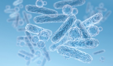 Μικροβίωμα του εντέρου, ένας άγνωστος ιός και ο ρόλος τους στον καρκίνο