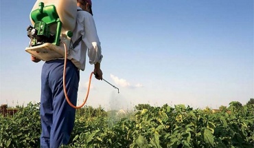 ΕΕ: Πολλά φυτοφάρμακα σε φρούτα- λαχανικά από την Τουρκία