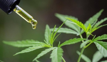 Μέχρι και θάνατος από προϊόντα κάνναβης – Η ΑΑΕΚ προειδοποιεί