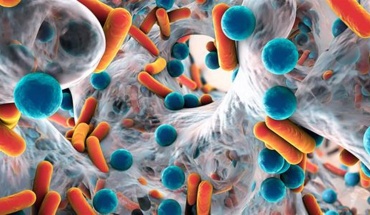 Ανθεκτικά μικρόβια στα αντιβιοτικά: Ίσως φταίνε και χημικές ουσίες