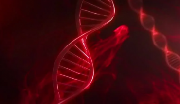 Το DNA μας αποκαλύπτει τα μυστικά του για την καρδιακή υγεία