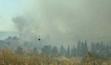 Συστάσεις Τμήματος Δασών προς το κοινό για τον καύσωνα